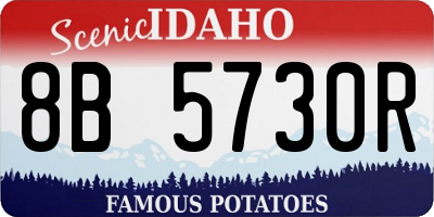 ID license plate 8B5730R