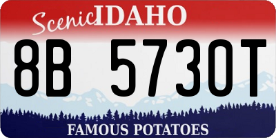 ID license plate 8B5730T