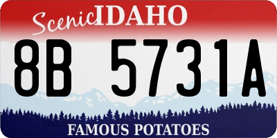 ID license plate 8B5731A