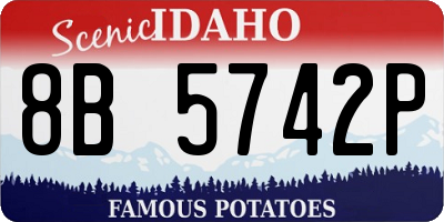ID license plate 8B5742P