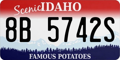 ID license plate 8B5742S