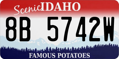 ID license plate 8B5742W
