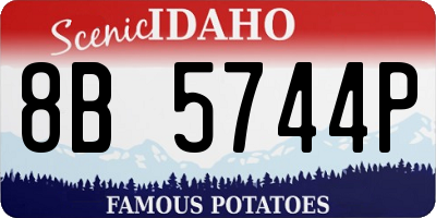 ID license plate 8B5744P