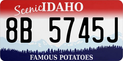 ID license plate 8B5745J