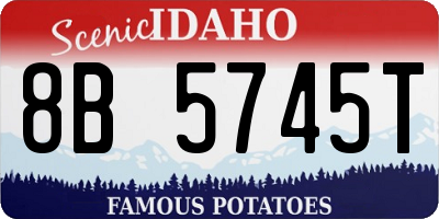 ID license plate 8B5745T
