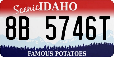ID license plate 8B5746T