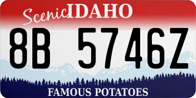 ID license plate 8B5746Z