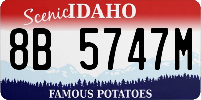 ID license plate 8B5747M