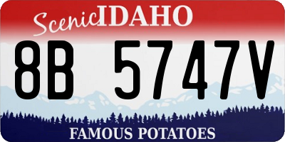 ID license plate 8B5747V