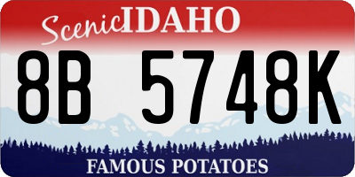 ID license plate 8B5748K
