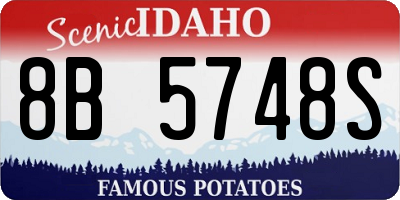 ID license plate 8B5748S