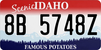 ID license plate 8B5748Z
