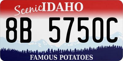 ID license plate 8B5750C