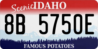 ID license plate 8B5750E