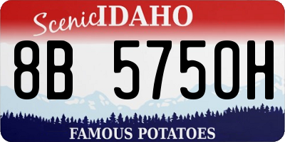 ID license plate 8B5750H