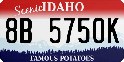 ID license plate 8B5750K