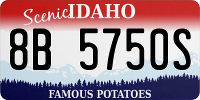ID license plate 8B5750S