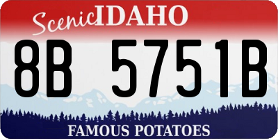 ID license plate 8B5751B