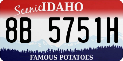 ID license plate 8B5751H