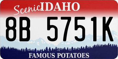 ID license plate 8B5751K