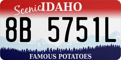 ID license plate 8B5751L