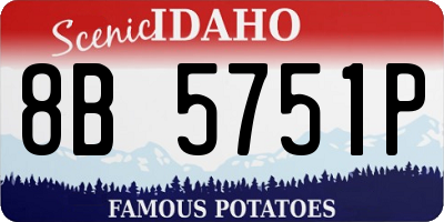 ID license plate 8B5751P