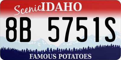ID license plate 8B5751S