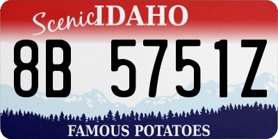 ID license plate 8B5751Z