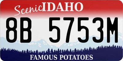 ID license plate 8B5753M