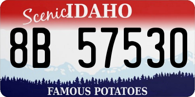 ID license plate 8B5753O
