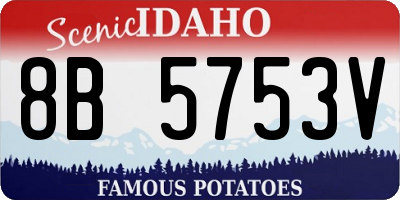 ID license plate 8B5753V