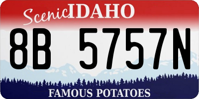 ID license plate 8B5757N
