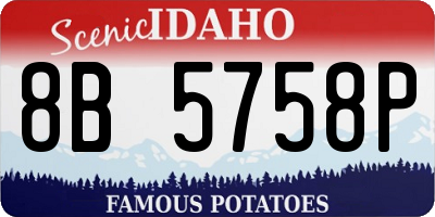 ID license plate 8B5758P