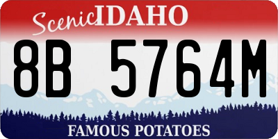 ID license plate 8B5764M