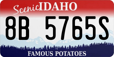 ID license plate 8B5765S
