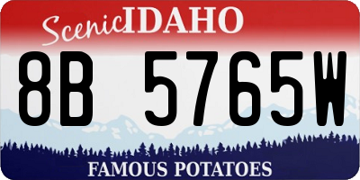 ID license plate 8B5765W