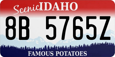 ID license plate 8B5765Z