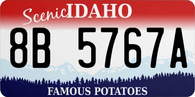 ID license plate 8B5767A