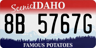 ID license plate 8B5767G