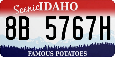 ID license plate 8B5767H