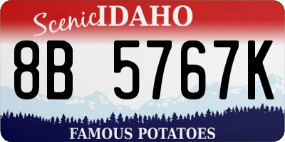ID license plate 8B5767K