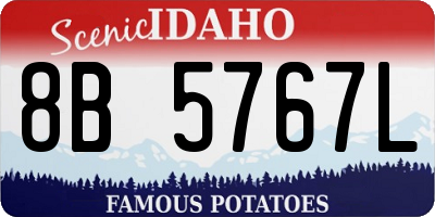 ID license plate 8B5767L