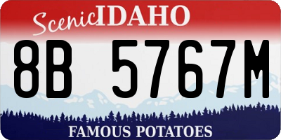 ID license plate 8B5767M