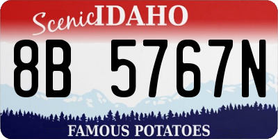 ID license plate 8B5767N