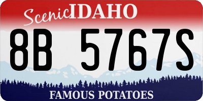 ID license plate 8B5767S