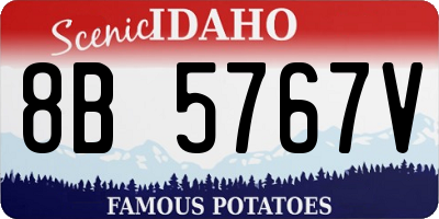 ID license plate 8B5767V