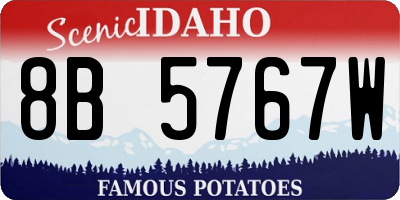 ID license plate 8B5767W