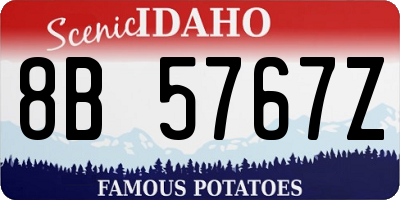 ID license plate 8B5767Z