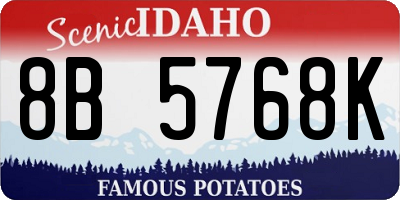 ID license plate 8B5768K