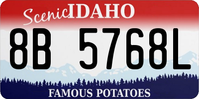 ID license plate 8B5768L